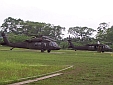 Blackhawk Helicopters Were the Prefered Mode of Transportation