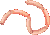 Sausage